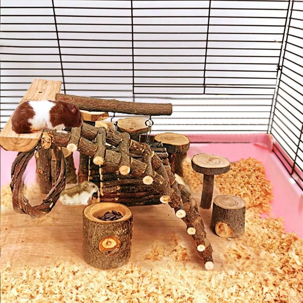 Hamster Playground Platform - Climbing & Jumping Set