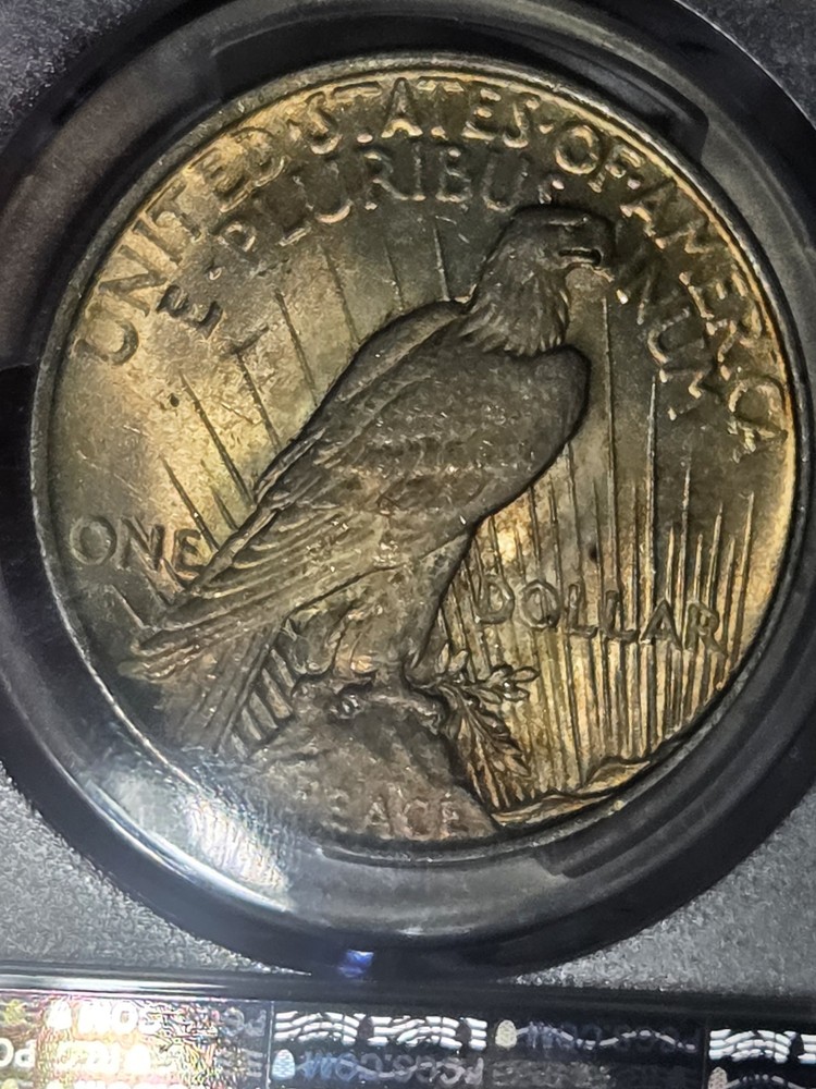 1922 $1 Peace Dollar PCGS MS63 Toned