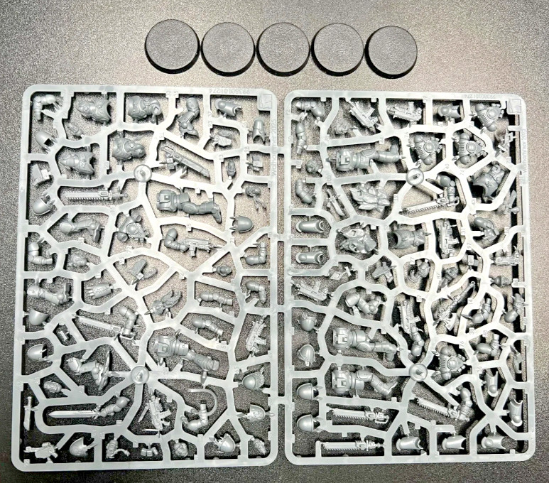 Grey Hunter x 5-Space Wolves-Primaris Space Marine-Squad-Legion-Warhammer 40k