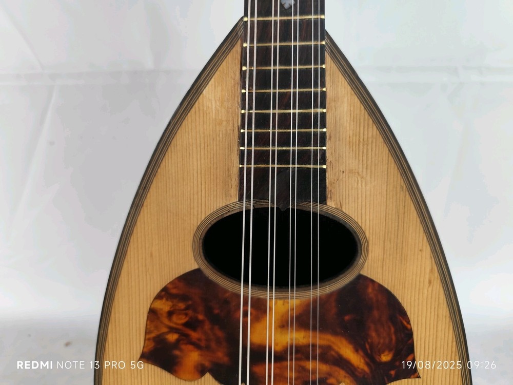 Mandolin 4/4 Alberti 1910 Rome 曼陀林 만돌린マンドリン