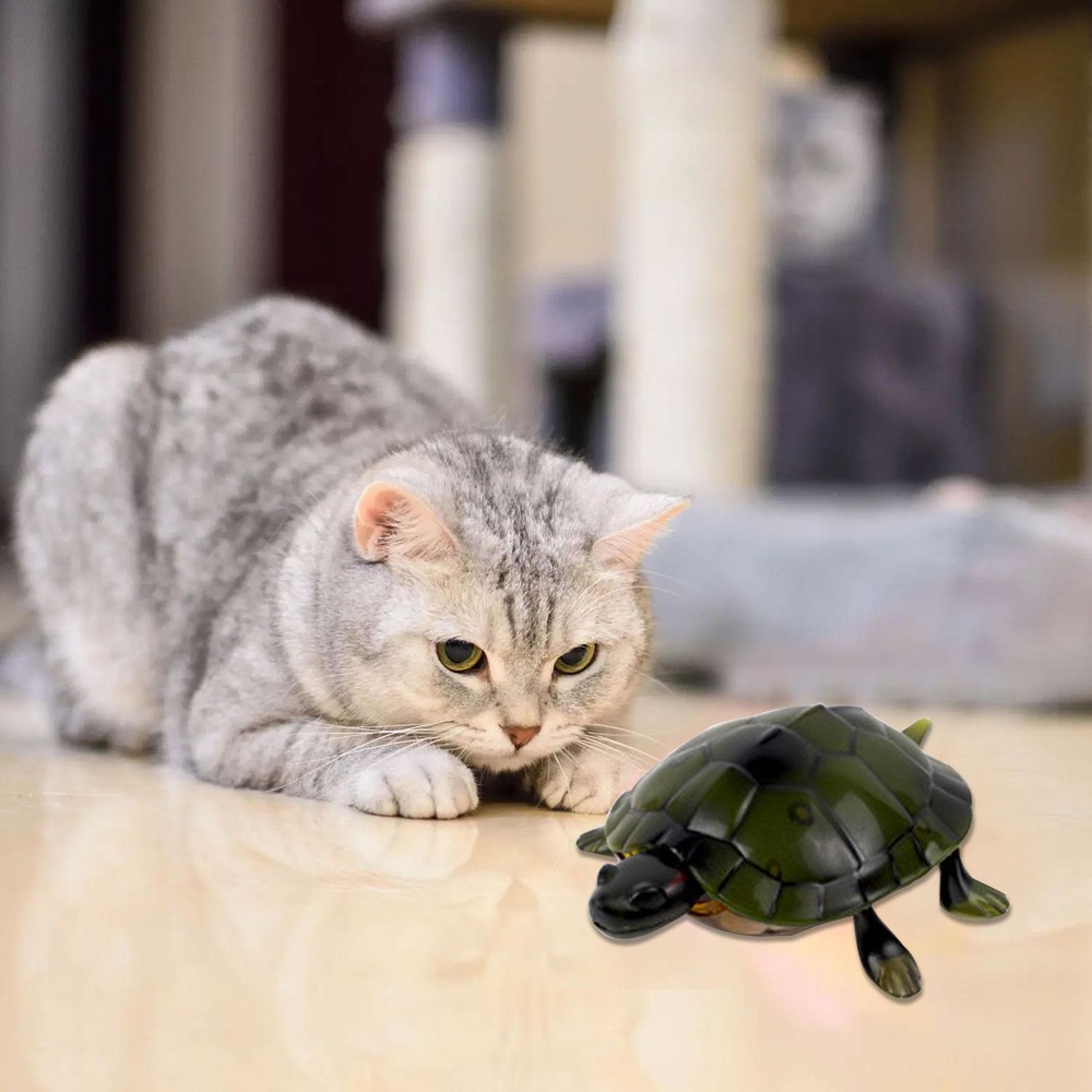Remote Control Turtle Toy Electronic Realistic Turtle RC Crawling Turtle Toy
