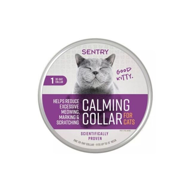 Sentry Cats Behavior and Calming Collar