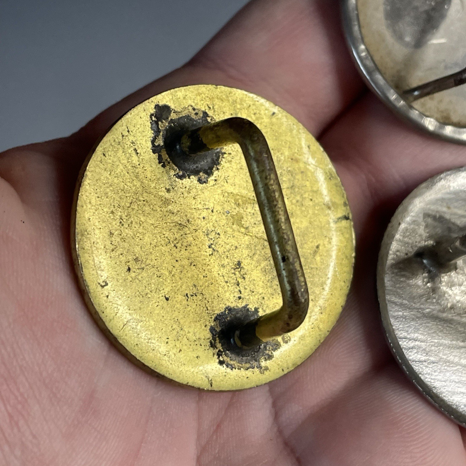 Lot of (3) Bridle Buttons Vintage 20th C. Horse Rosettes (One Brass)