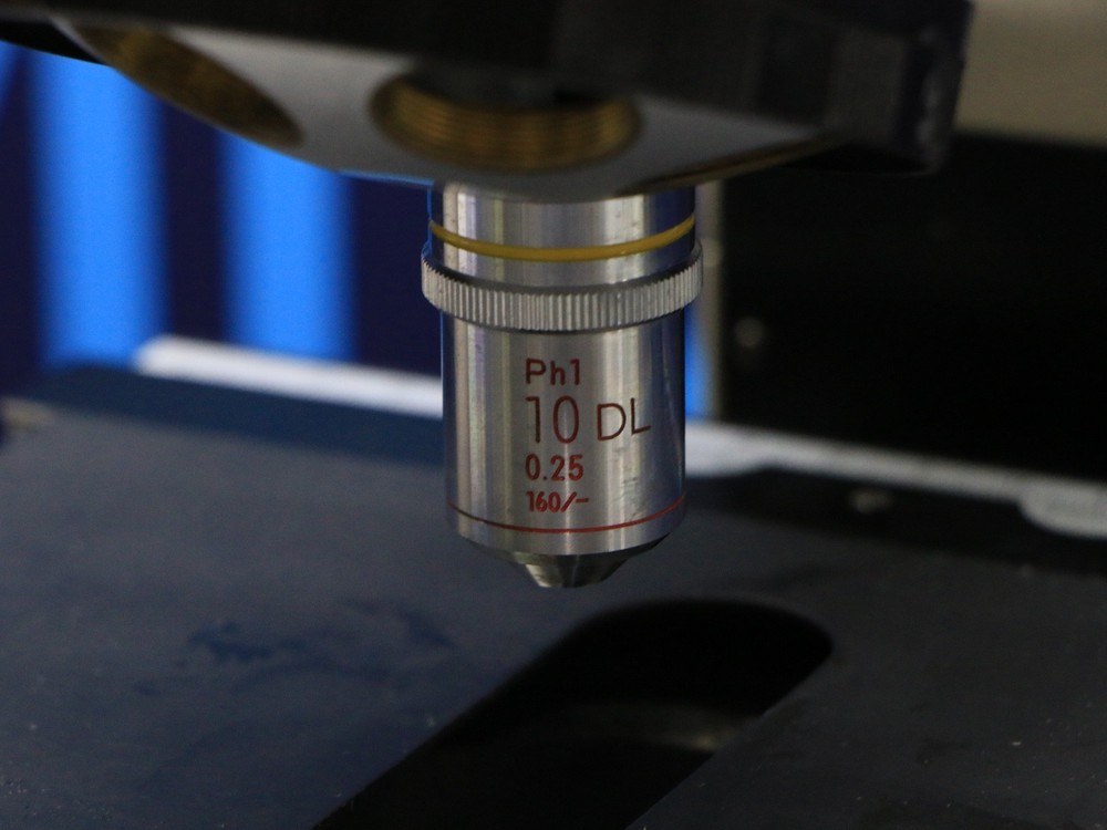 Nikon Labophot Phase Contrast Microscope