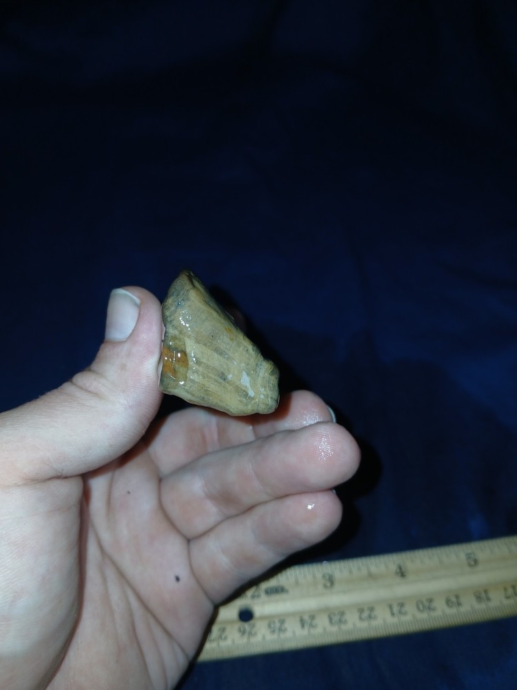 4.5 oz Texas Orange Petrified
