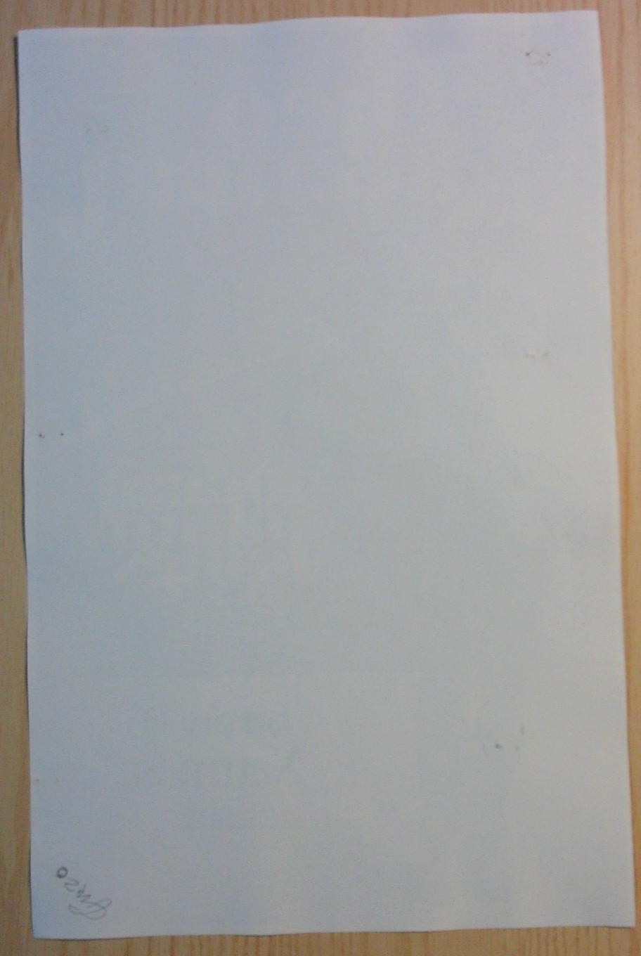 Seattle Black Panther Party BPP 3rd Film Festival Event Poster Mama C