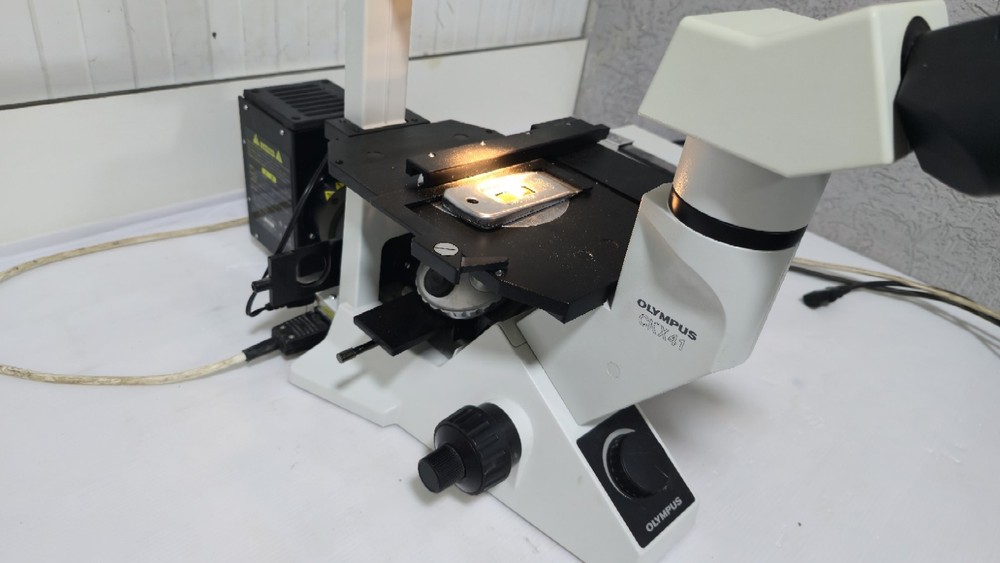 Olympus CKX41 Inverted Fluorescence Phase Contrast Microscope with 3 Objectives
