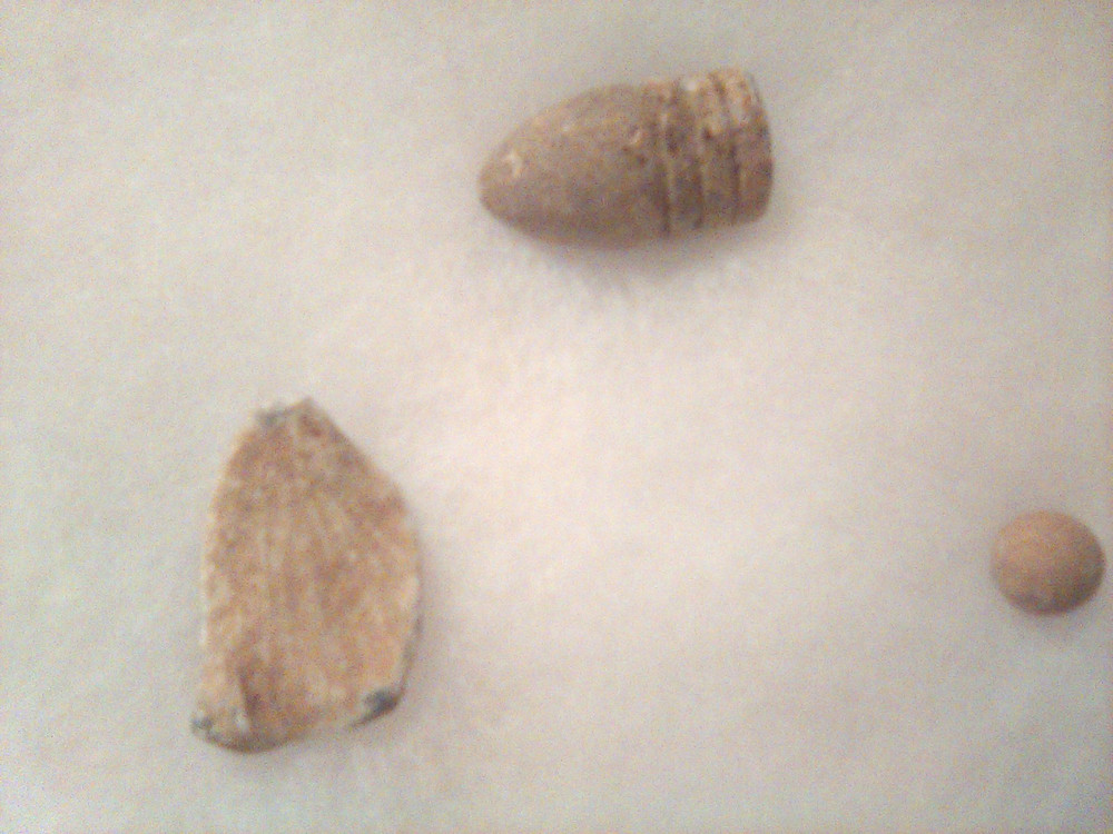 Civil War Relic Display Bullet, Button ? , etc