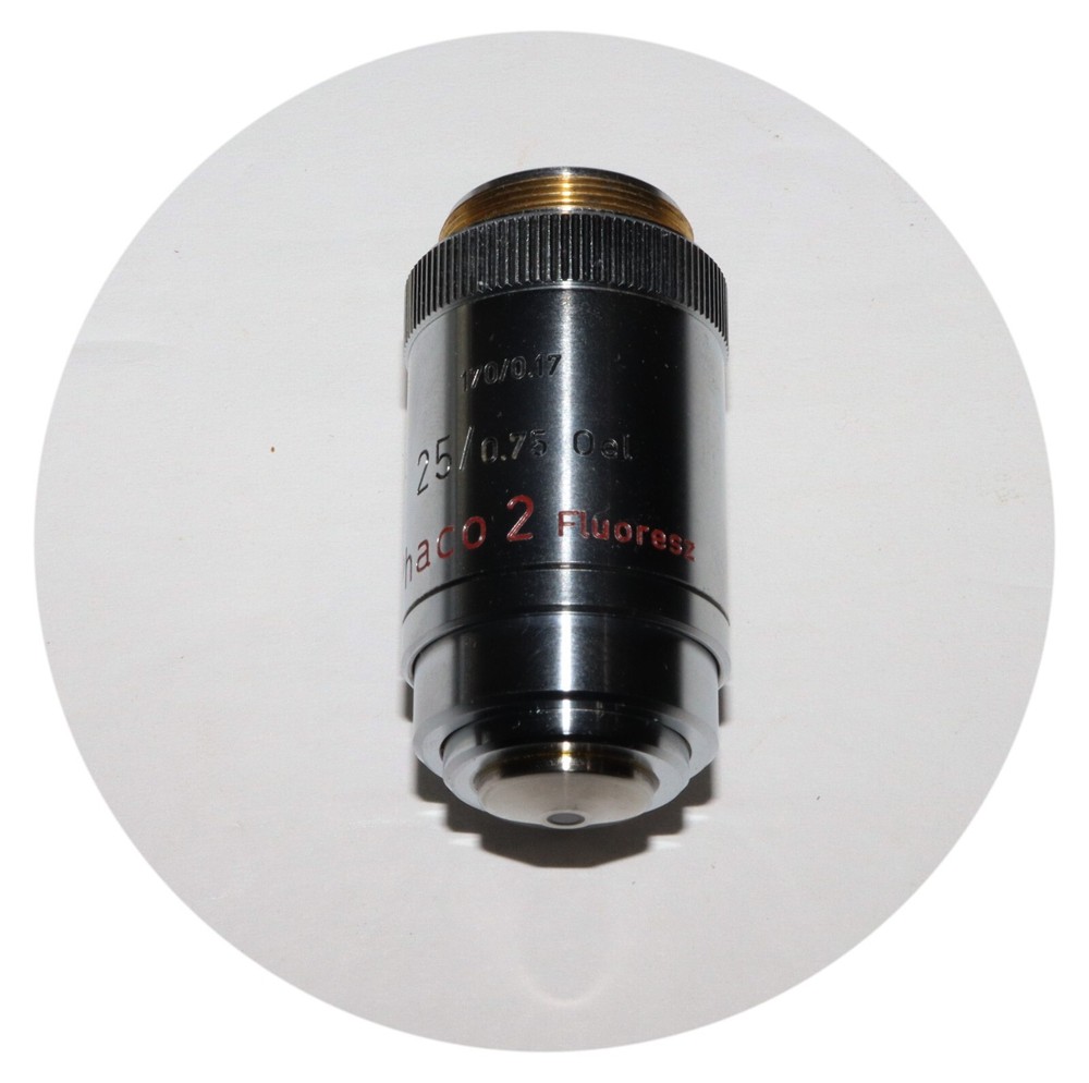 Leitz 25X Fluorenz Phaco-2 Oil Immersion Microscope Objective
