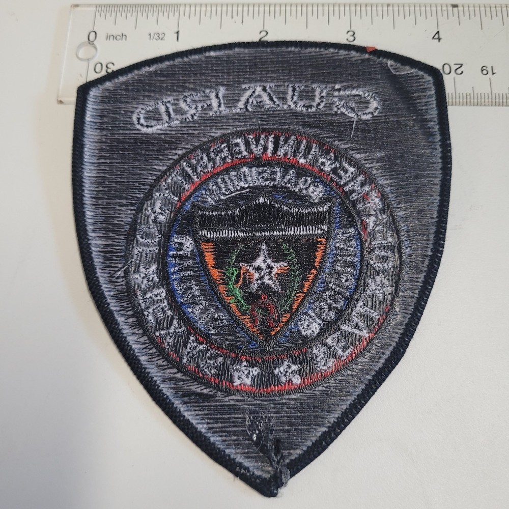 University Of Texas Security Guard Patch