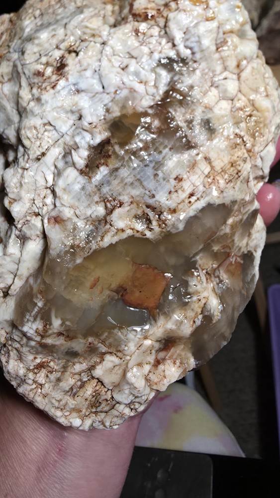 agatized petrified wood 3pc. Lot