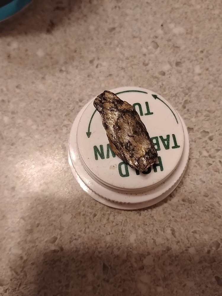 Native Platinum Nugget W/Quartz