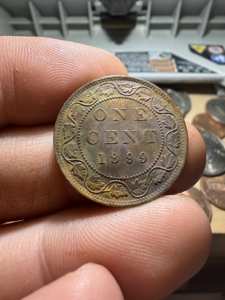 Canada Large Cent Lot