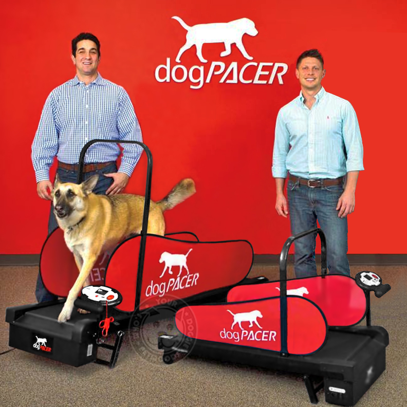 dogPACER Dog Treadmill Folds Portable Small Med Large Dogs 1-179 lbs NEW
