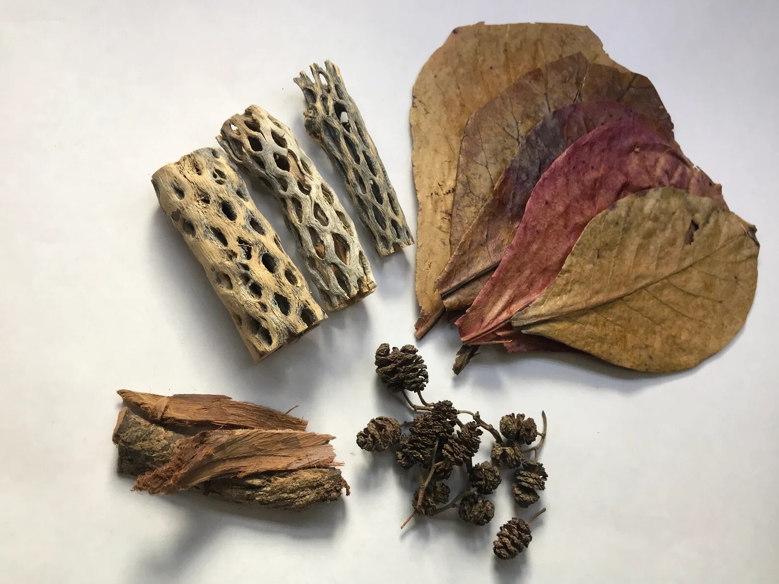 Nano Indian Almond Leaves Cholla Wood Alder Cones Catappa Bark Shrimp Package