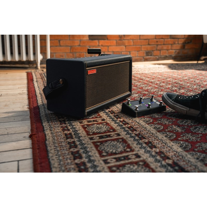 Positive Grid Spark 2