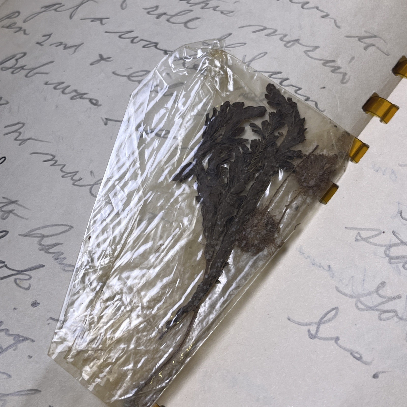 1945 US Navy Domain Of The Golden Dragon Membership Wallet Card WWII + Journal!!