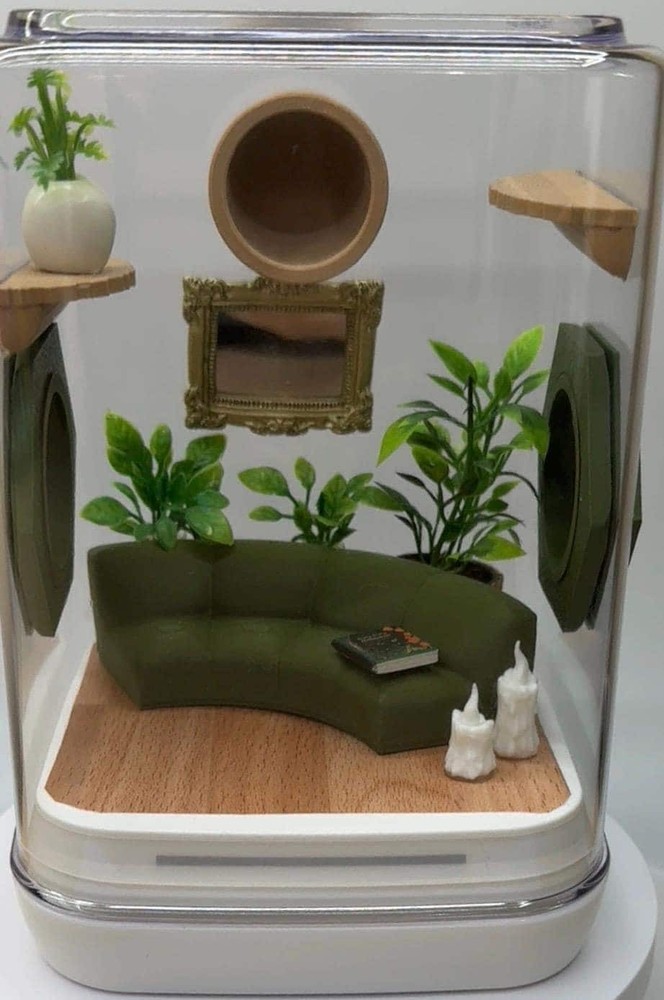 Jumping spider enclosure decor set