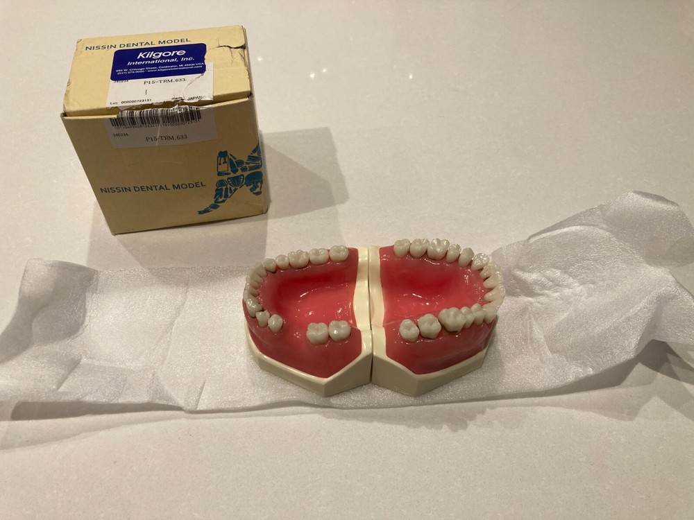 Dental Hygiene Practice  Model