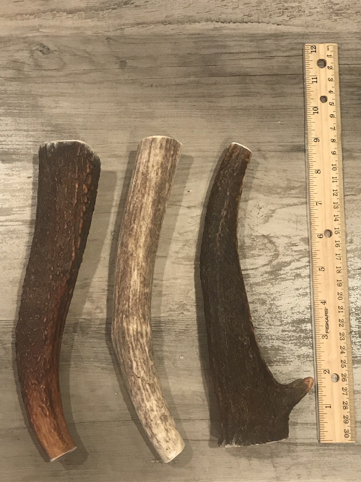 X-LARGE Elk/Deer Antler Premium Dog Chew (1pc) **OREGON ANTLER WORKS**