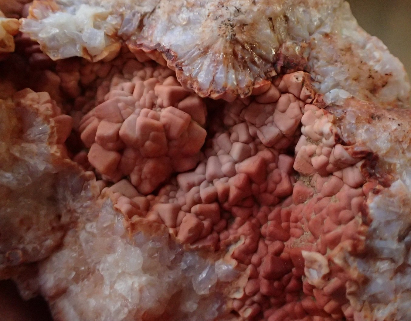 Square Botryoidal 2 Piece Geode KY Agate Gems Specimen Geology Rare Red Pink KG7