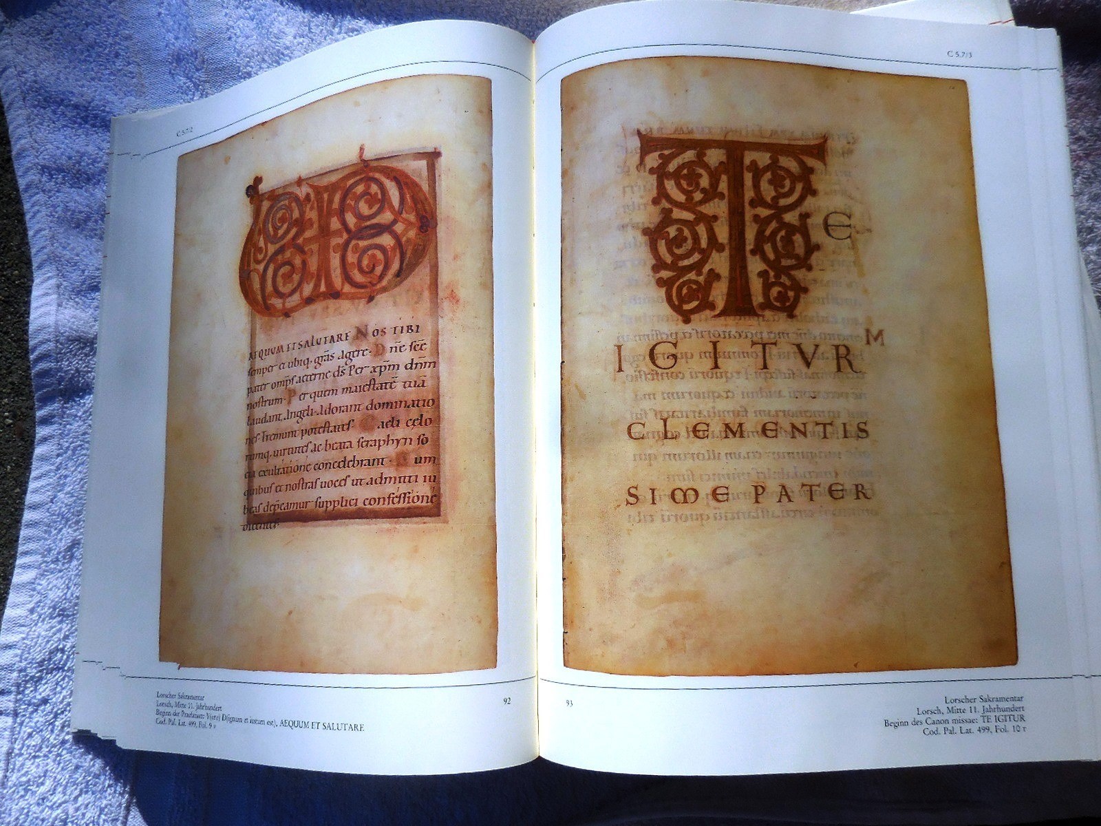 Illuminated Medieval Manuscripts BIBLIOTHECA PALATINA EXHIBITION-CATALOG 1985