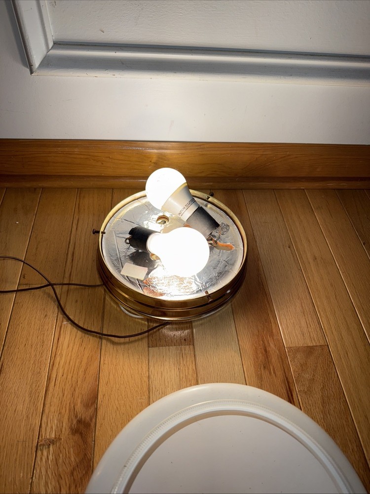 Lighting White Globe Ceiling Lights High Polished Gold Flush Mount