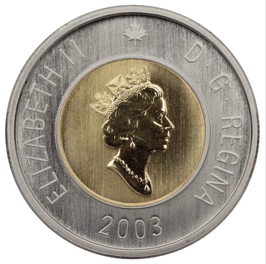 Canada $2 DOLLARS 2003 Old Effigy Polar Bear Specimen Mint UNC