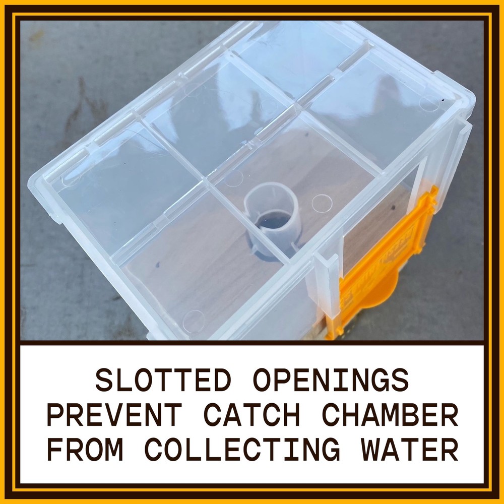 Bees N Things Outdoor Carpenter Bee Trap