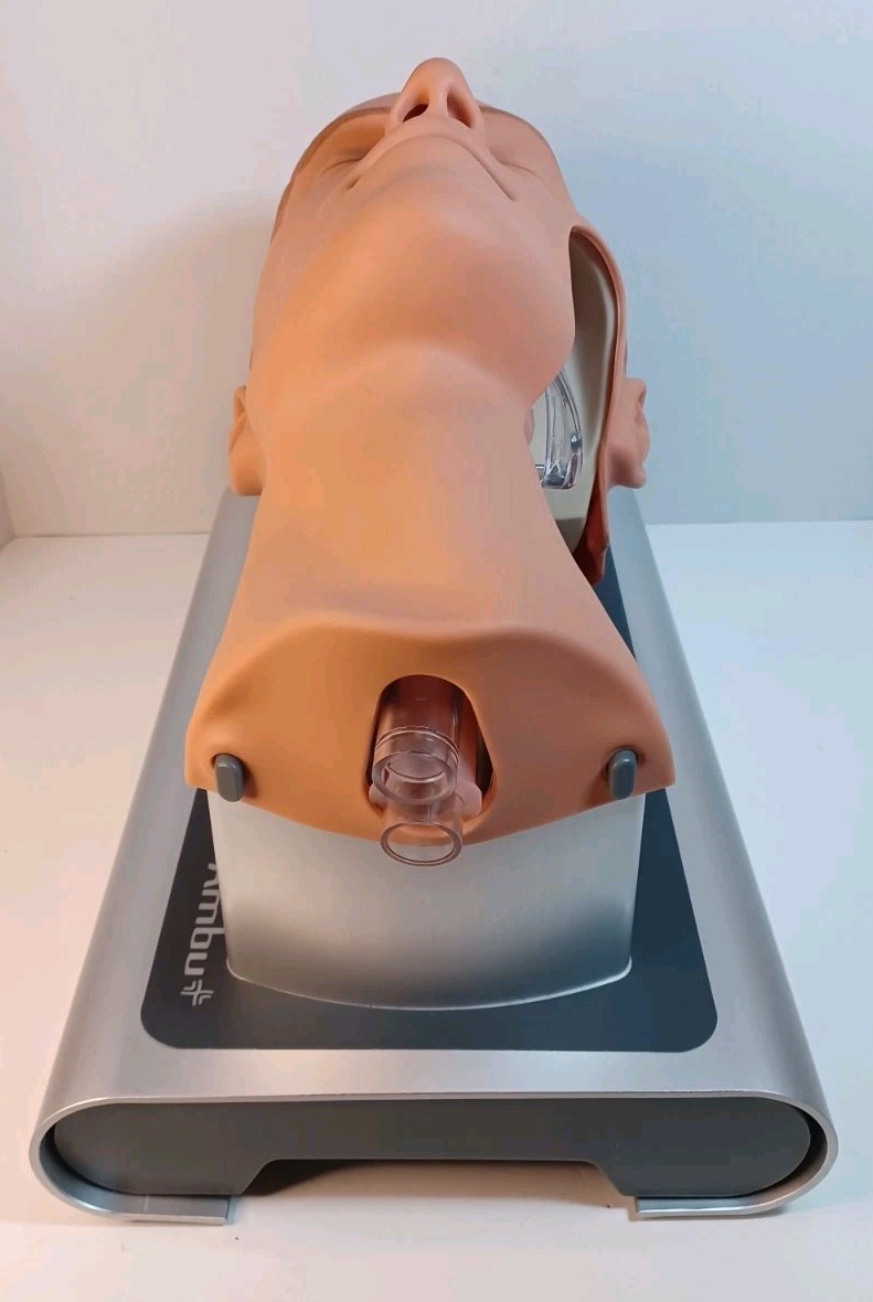 Ambu Intubation Airway Management Trainer – 186002000 - No Packaging