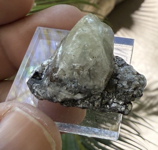 18 Grams Herderite On Matrix