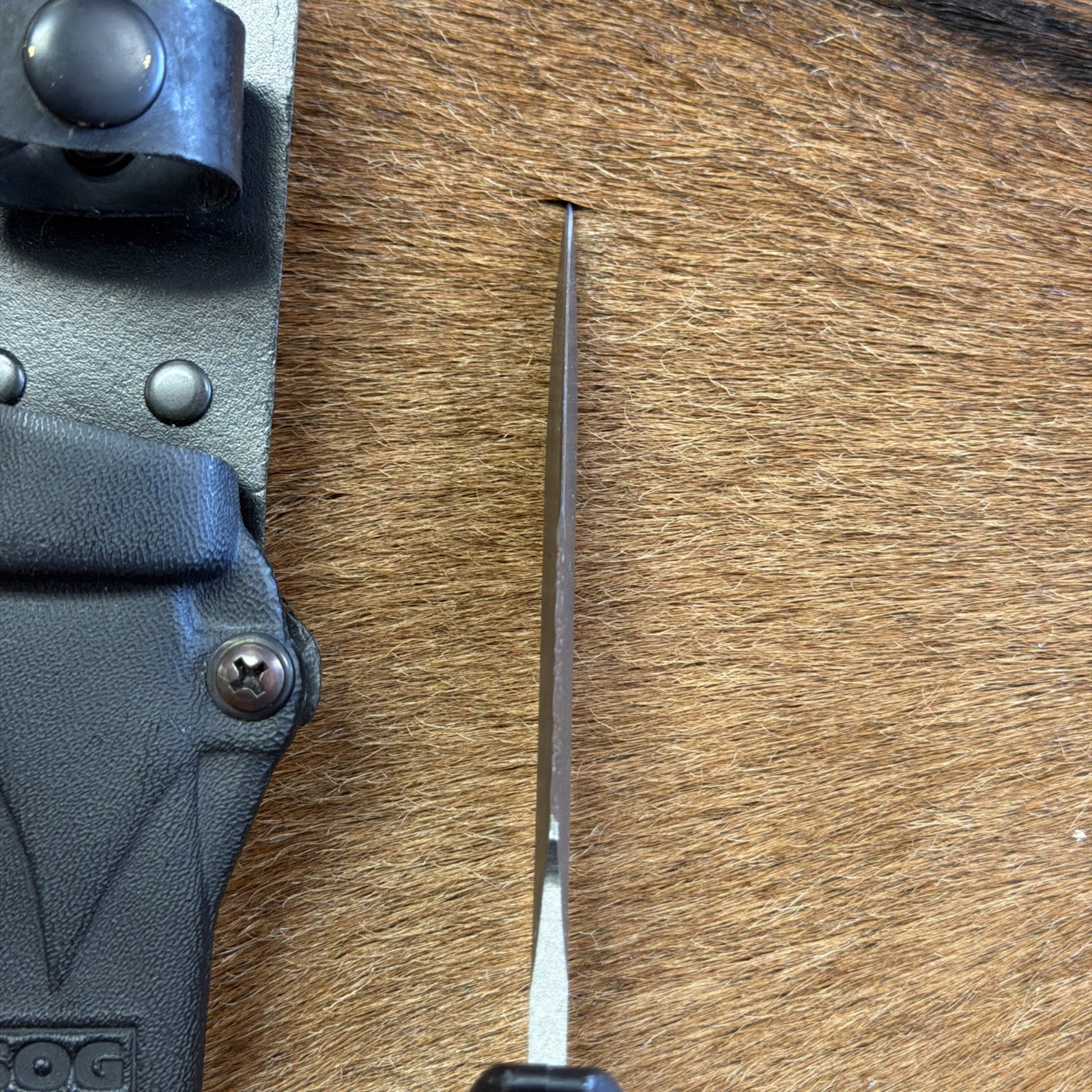 SEKI-JAPAN SOG SEAL PUP SATIN FINISH FIXED BLADE KNIFE