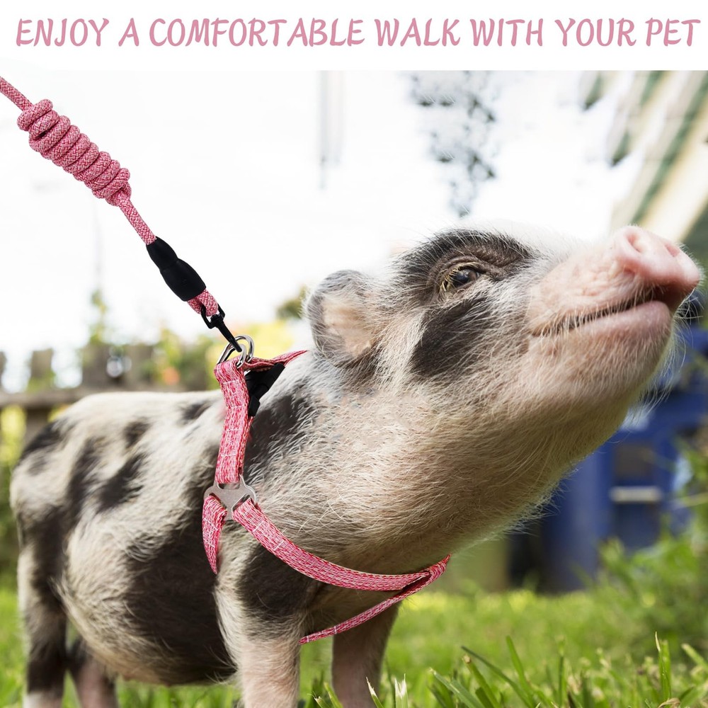 Mini Pig Harness, Adjustable Small Harness with Leash Infinity M, Pink