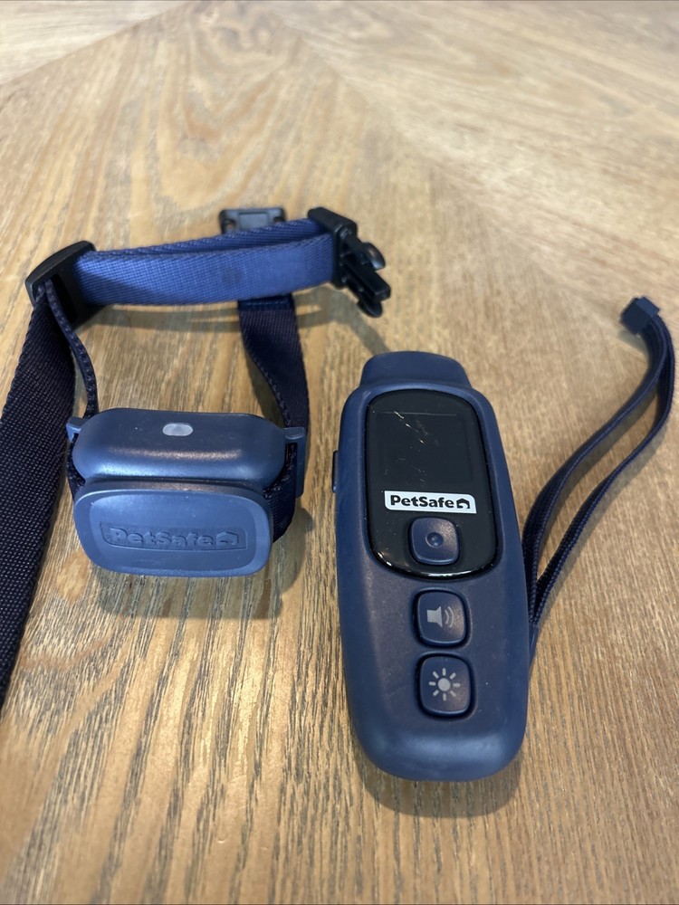 PetSafe Core Dog Trainer with Remote – Waterproof Training Collar
