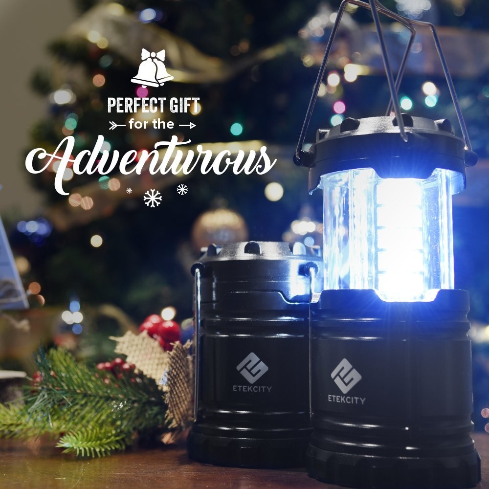 Etekcity Lantern Camping Essentials Lights, Led Flashlight for 2 Pack, Black