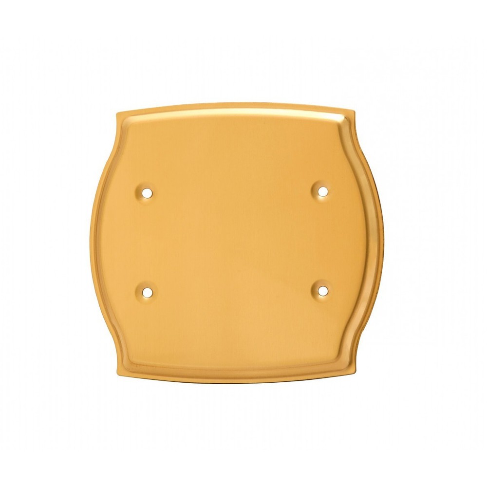 Switchplate Bright Solid Brass Double Blank | Renovator's Supply