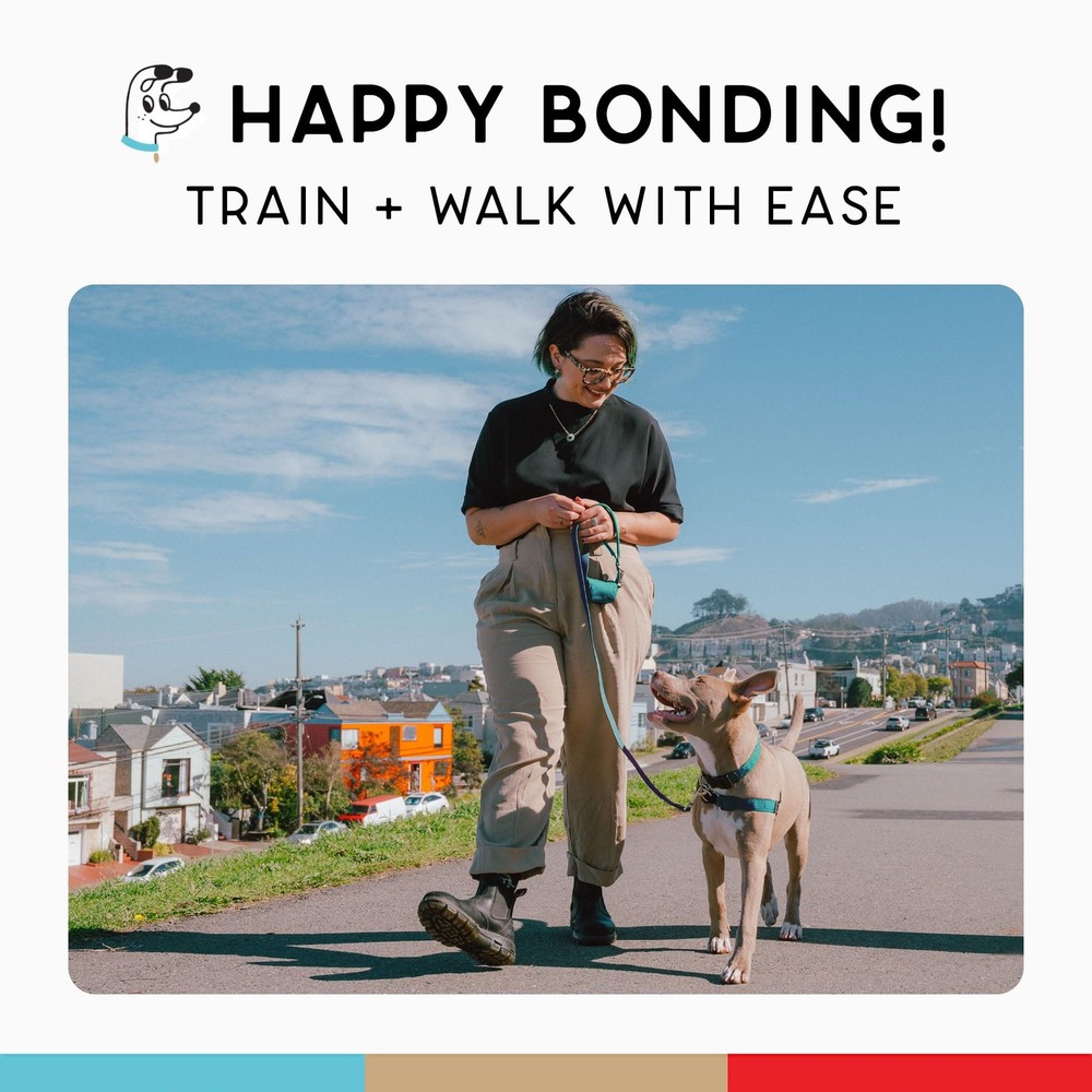 No Pull Dog Harness | Comfortable Training Harnesses | Effective No Pull Harn...