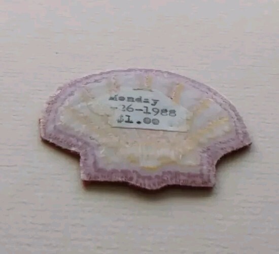 Vintage Shell Embroidered Patch