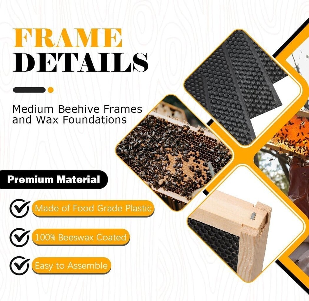 10 - Pack Medium Beehive Frames with Beeswax Foundations – Fits Langstroth Hive