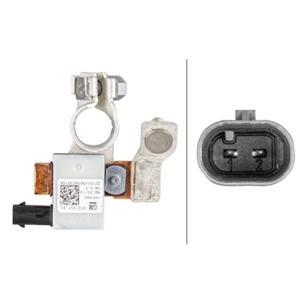 Hella 010557481 Intelligent Battery Sensor (Ibs)