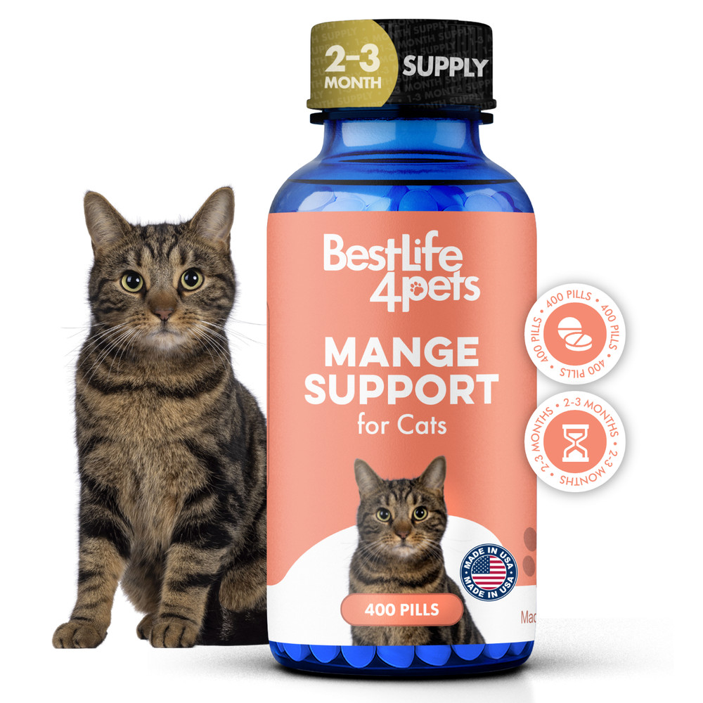 Mange Treatment for Cats