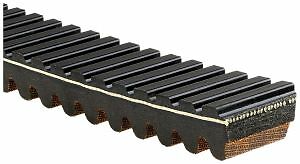 Belt Gates 48G4246