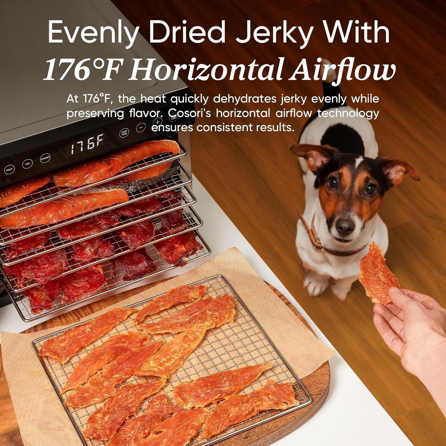 COSORI Food Dehydrator for Jerky, 176°F Temperature Control, 5 Stainless Steel