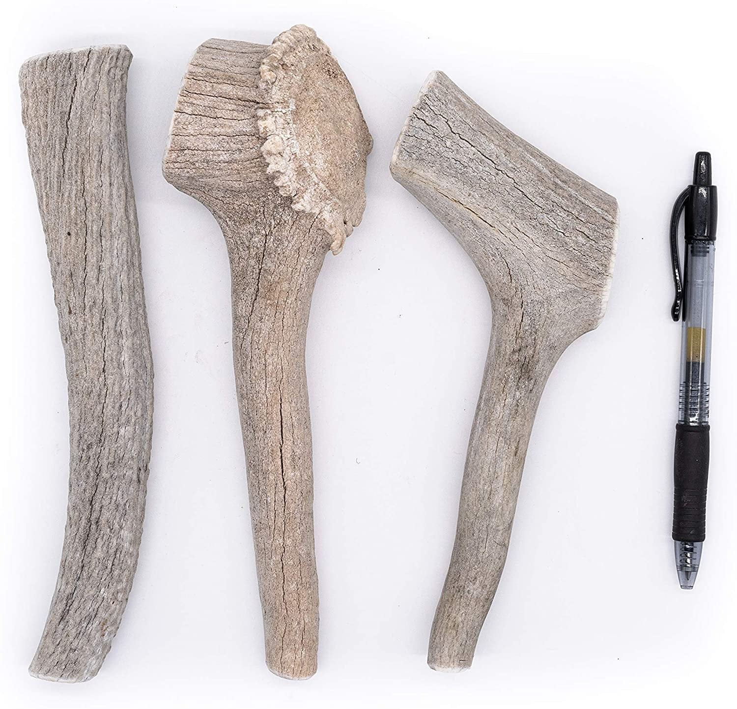 Economy Elk/Deer Antler Dog Chew 3 Count - Grade B/C All Natural Organic and