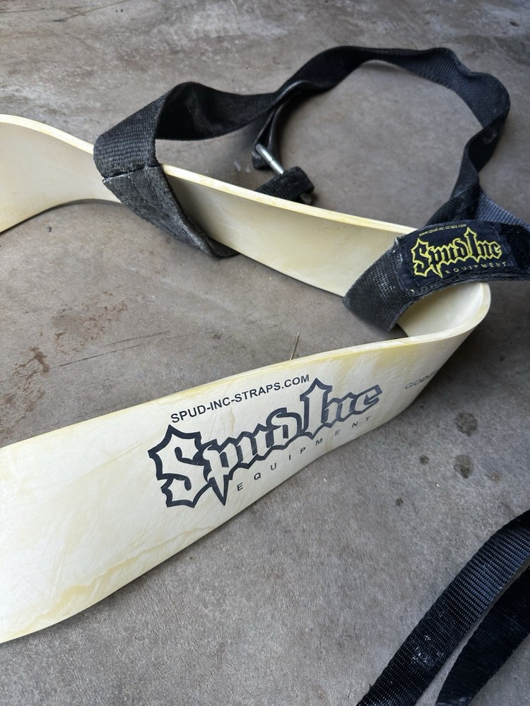 Big Ray Strap + Godzilla Band