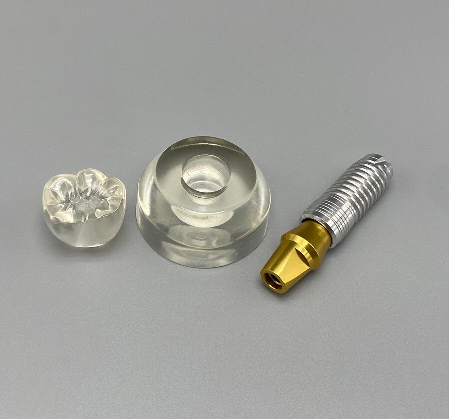 Dental Implant Teeth Model Detachable Abutment Crown Teaching Study Models Clear