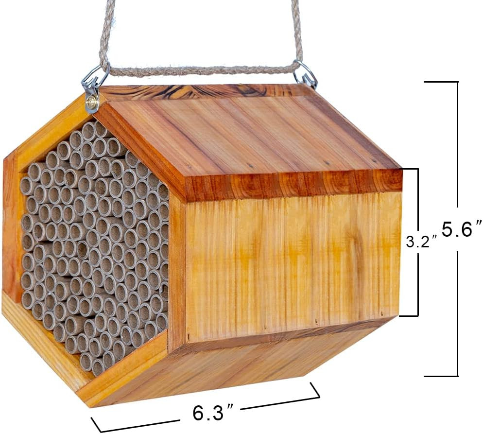 Mason Bee House - Handmade Natural Wooden Bee Hive Coated with Wax for Water-Pro