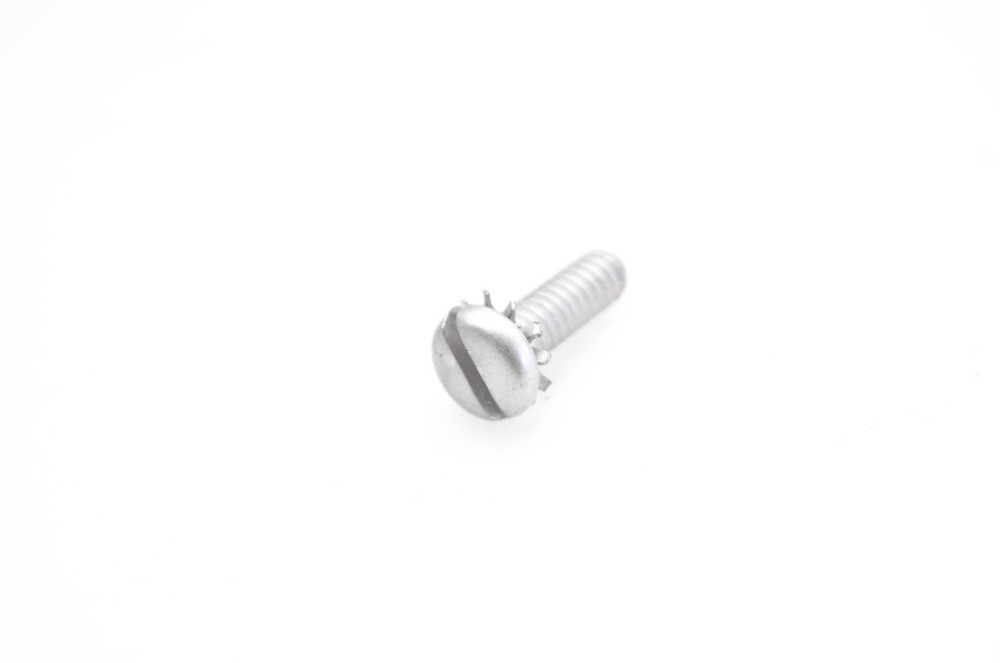 OMC 302948 Screw w/ Washer NOS