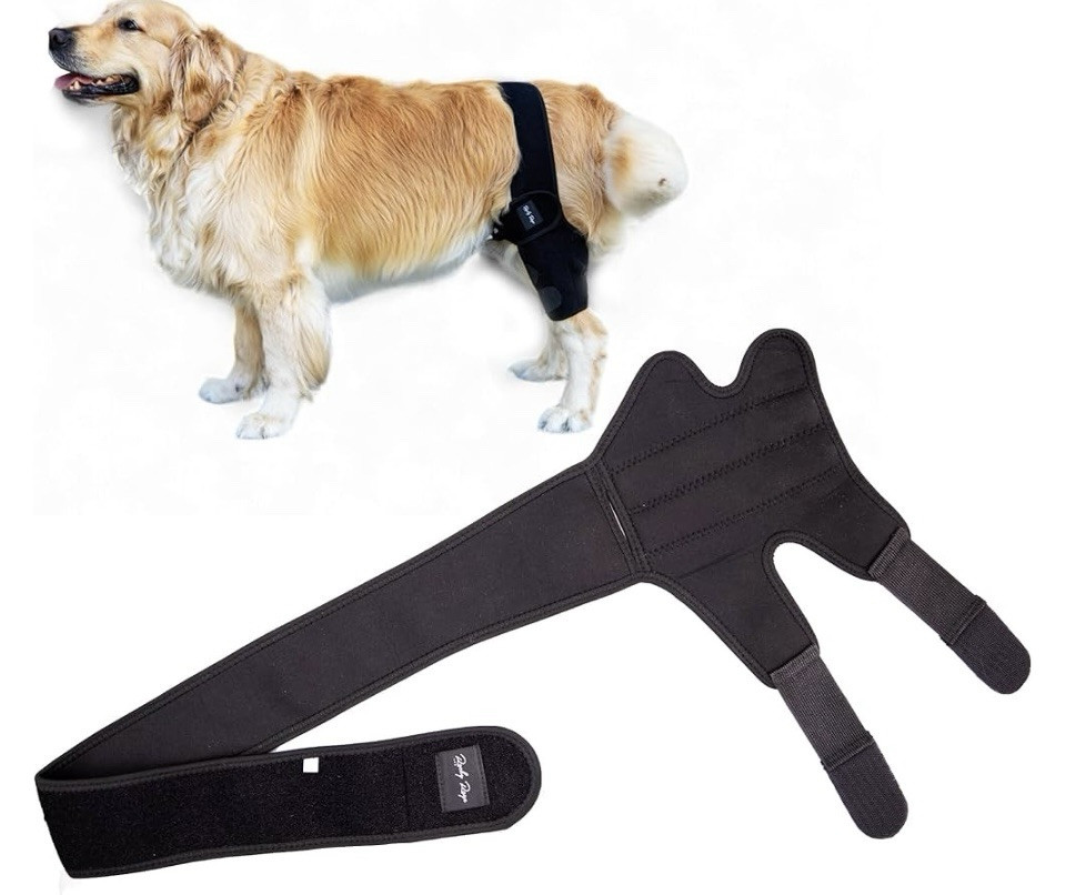 New! Rocky Rays Dog Knee Brace!