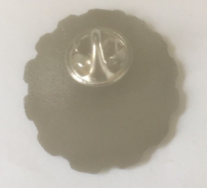 NAVY badge pin
